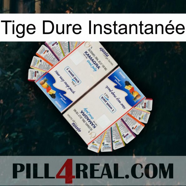 Tige Dure Instantanée kamagra1